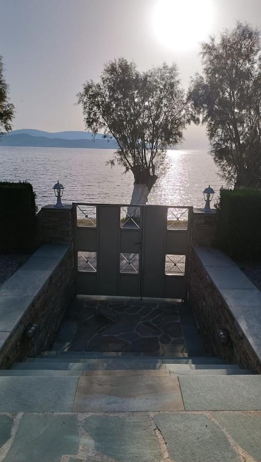 Enigma Boutique Koxyli Marmari (Evia)
