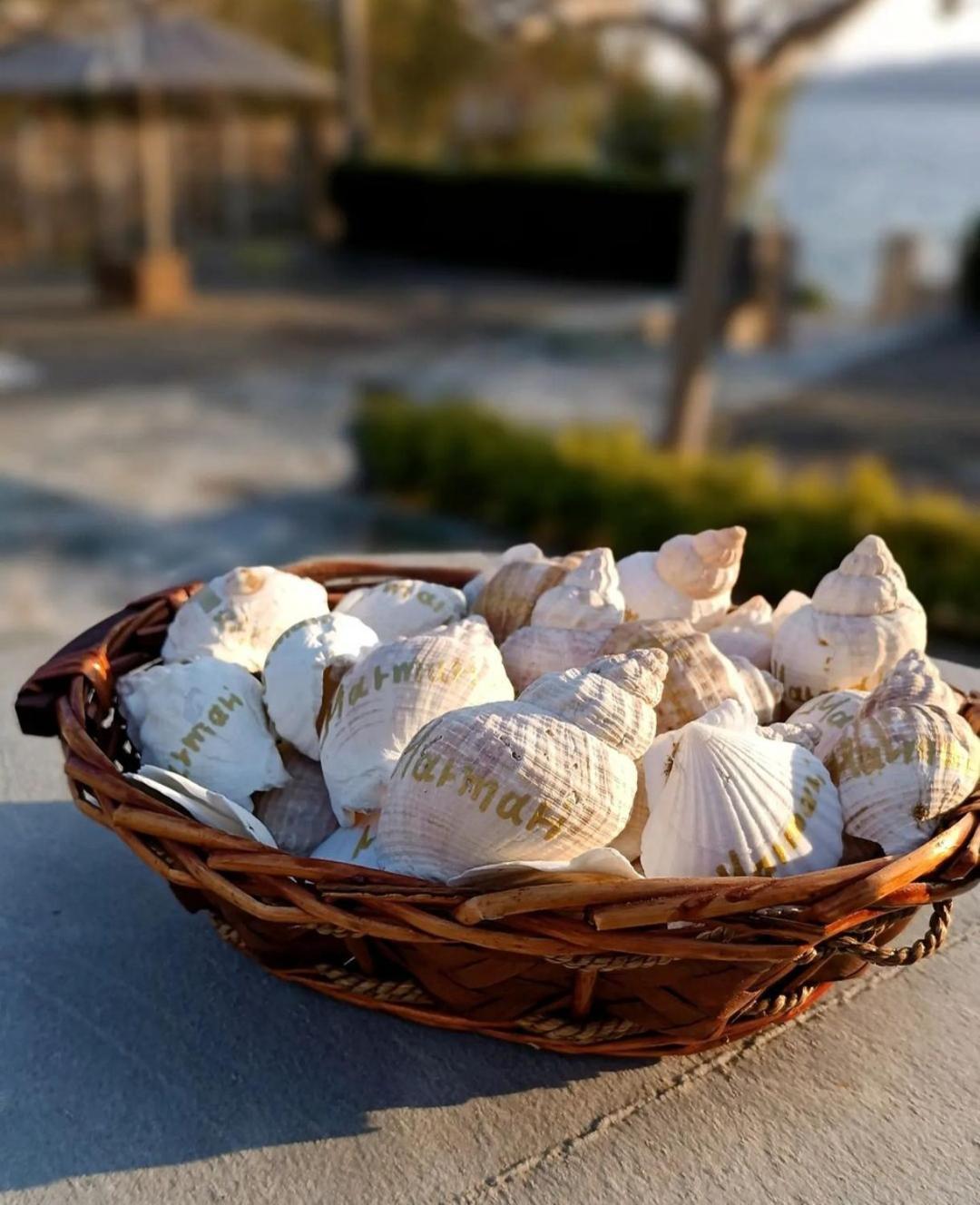 Enigma Boutique Koxyli Apartment Marmari (Evia)